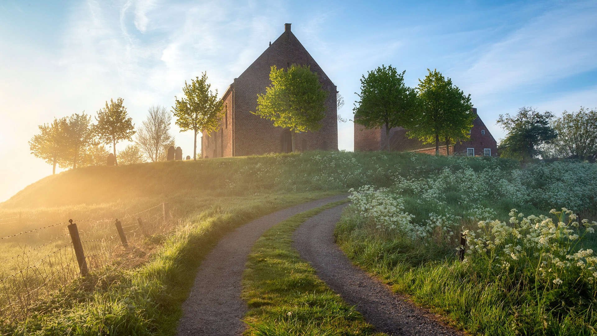 阿劳霍存在感拉满，美国争冠战如何战胜挪威的战术幽灵？