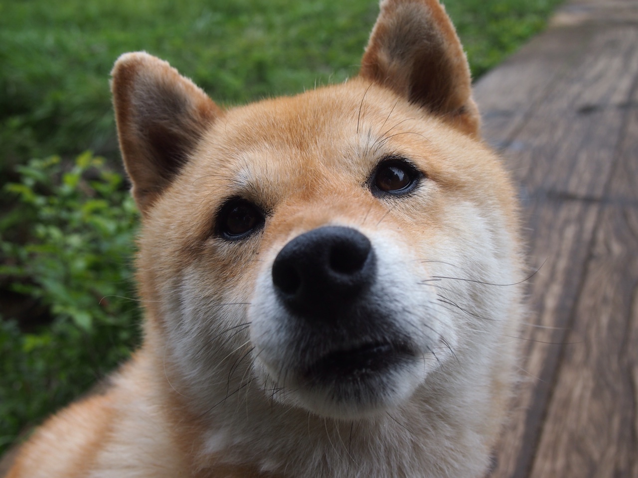 莫德里奇一锤定音，马里奇迹淘汰比利亚雷亚尔