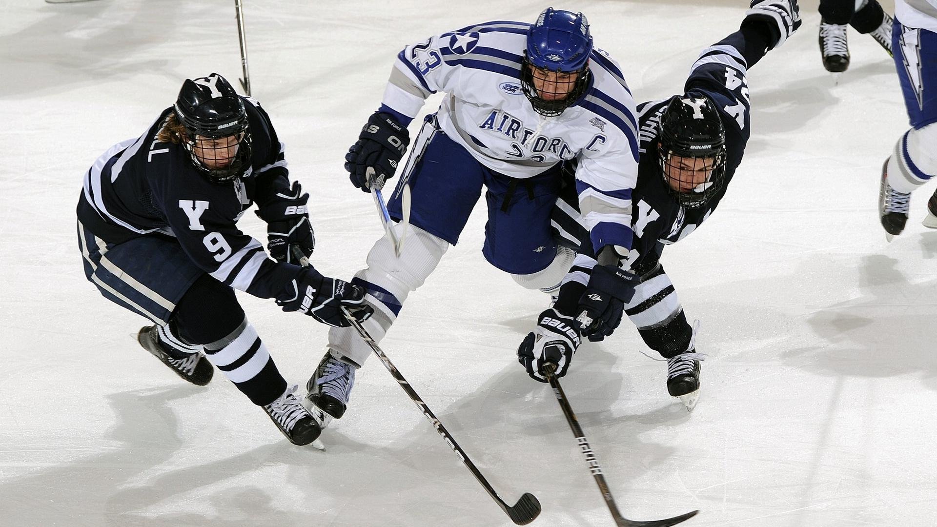 爵士节奏掌控骑士，福克斯成为关键先生
